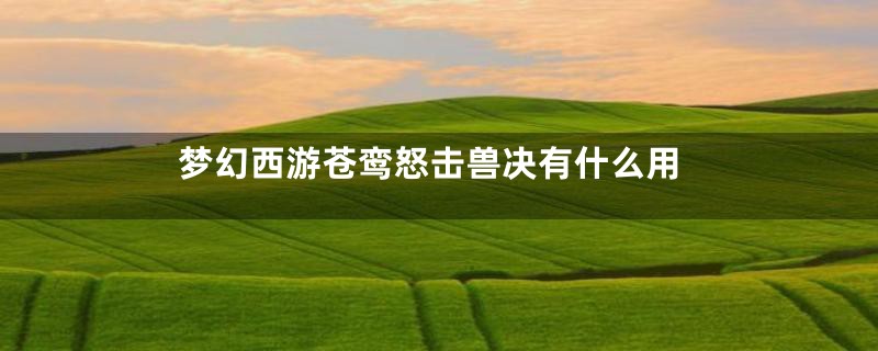 梦幻西游苍鸾怒击兽决有什么用