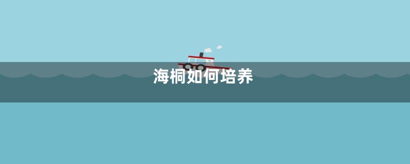 海桐如何培养