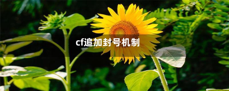 cf追加封号机制