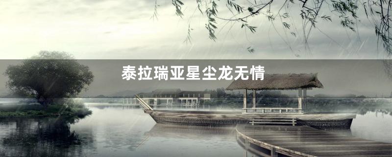 泰拉瑞亚星尘龙无情