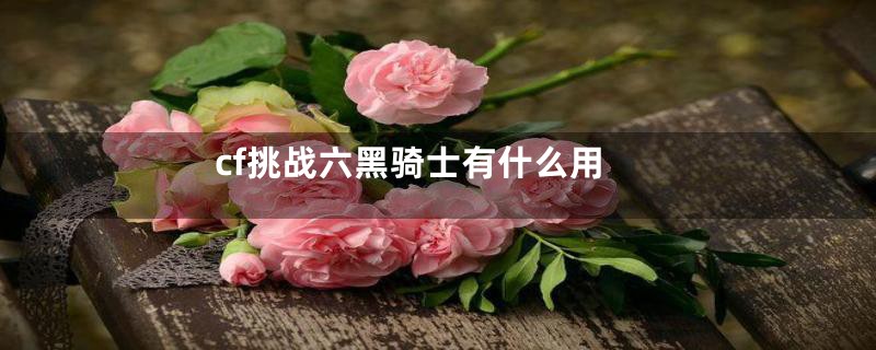 cf挑战六黑骑士有什么用