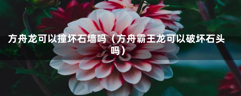 方舟龙可以撞坏石墙吗（方舟霸王龙可以破坏石头吗）