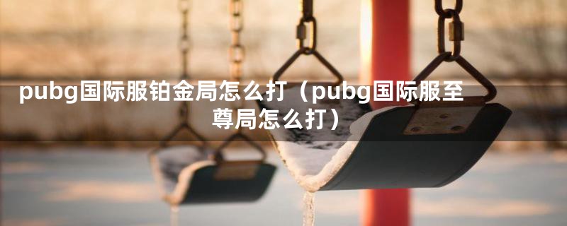 pubg国际服铂金局怎么打（pubg国际服至尊局怎么打）