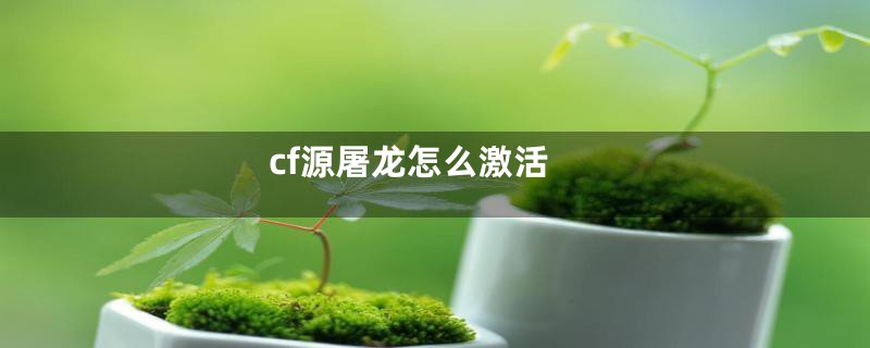 cf源屠龙怎么激活