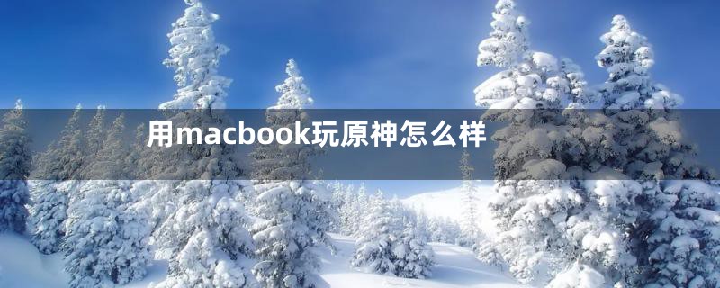 用macbook玩原神怎么样