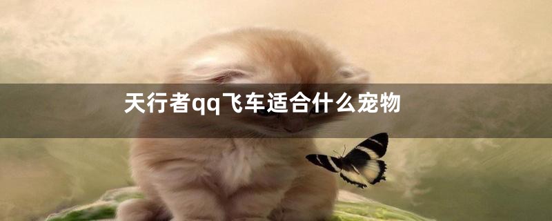 天行者qq飞车适合什么宠物