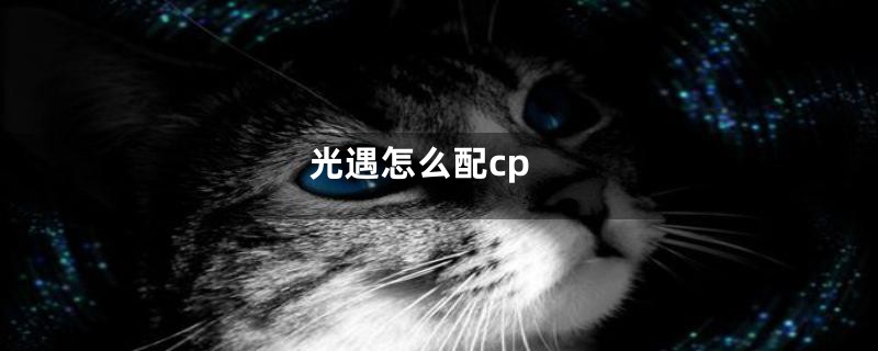 光遇怎么配cp