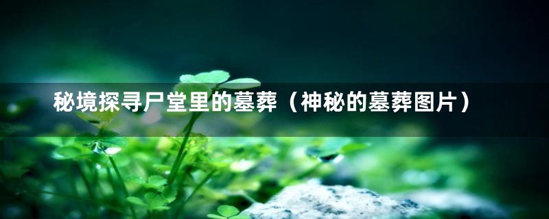 秘境探寻尸堂里的墓葬（神秘的墓葬图片）