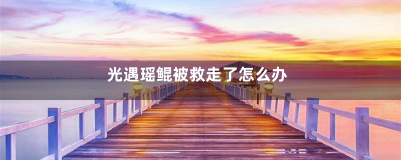 光遇瑶鲲被救走了怎么办