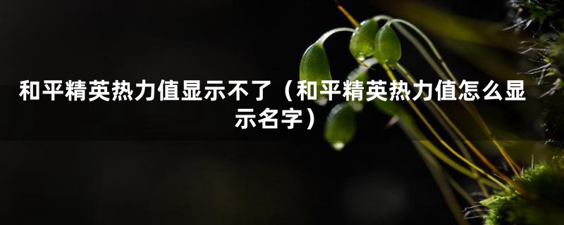 和平精英热力值显示不了（和平精英热力值怎么显示名字）