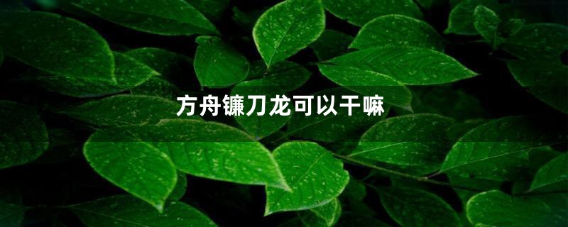 方舟镰刀龙可以干嘛