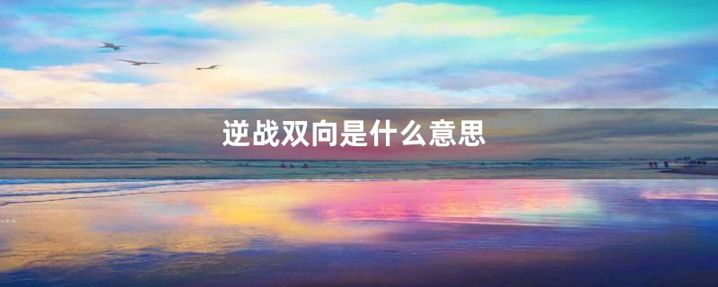 逆战双向是什么意思