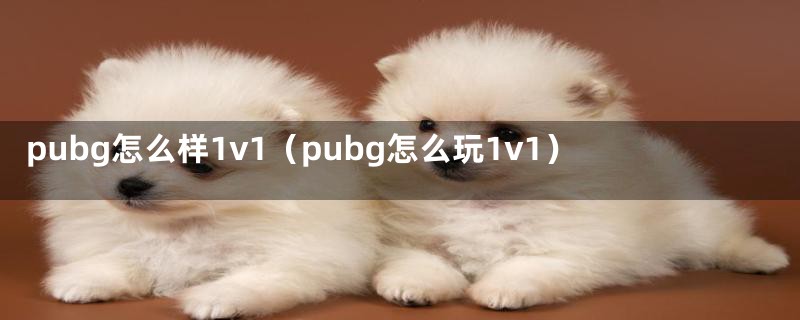 pubg怎么样1v1（pubg怎么玩1v1）