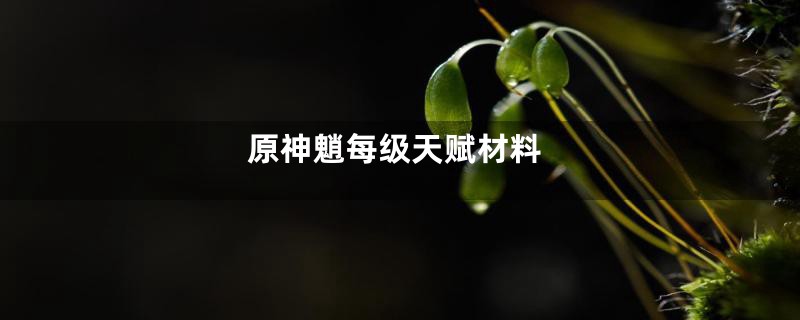 原神魈每级天赋材料