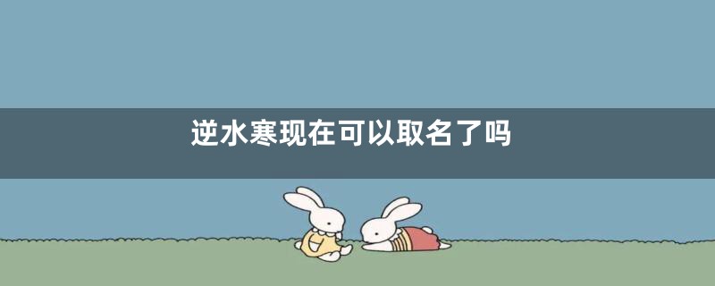 逆水寒现在可以取名了吗