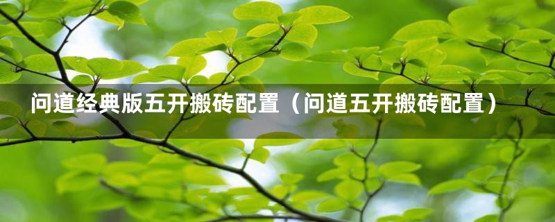 问道经典版五开搬砖配置（问道五开搬砖配置）