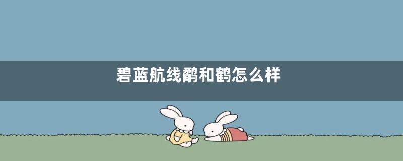 碧蓝航线鹬和鹤怎么样