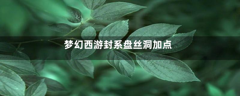 梦幻西游封系盘丝洞加点