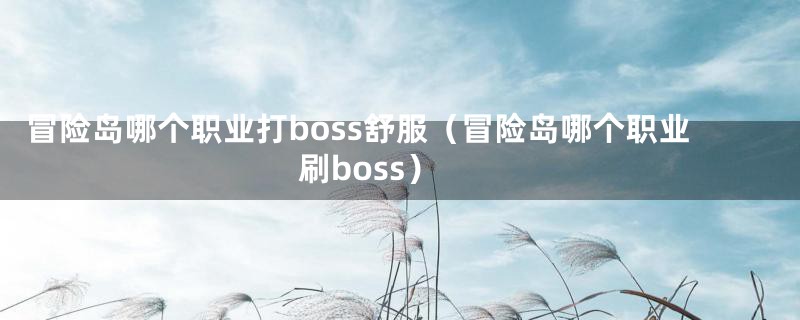 冒险岛哪个职业打boss舒服（冒险岛哪个职业刷boss）