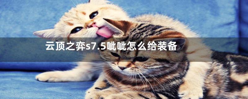 云顶之弈s7.5呲呲怎么给装备