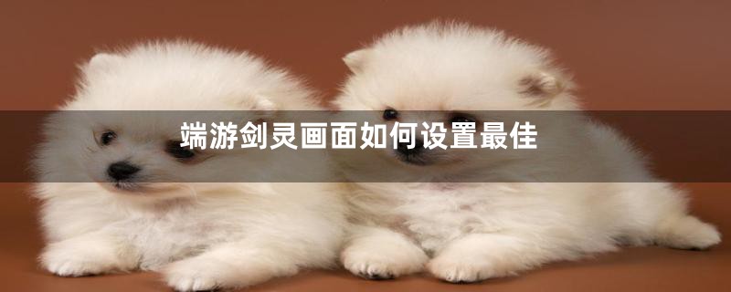 端游剑灵画面如何设置最佳