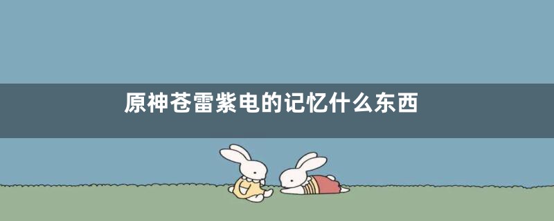 原神苍雷紫电的记忆什么东西