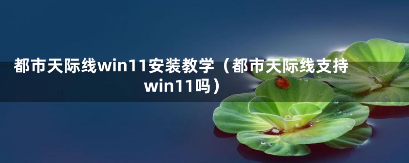 都市天际线win11安装教学（都市天际线支持win11吗）