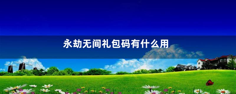 永劫无间礼包码有什么用