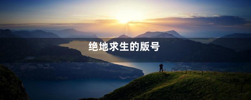 绝地求生的版号