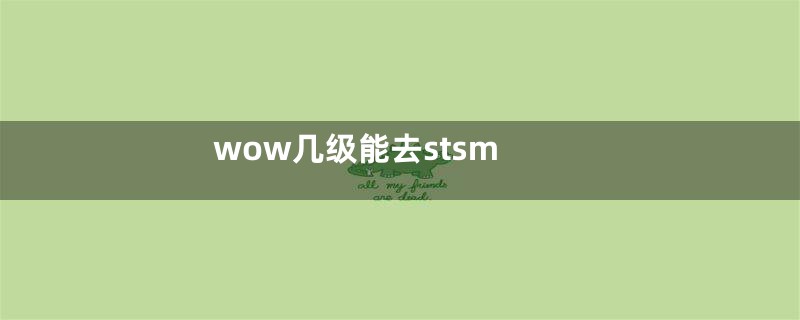 wow几级能去stsm