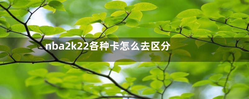 nba2k22各种卡怎么去区分