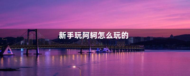 新手玩阿轲怎么玩的