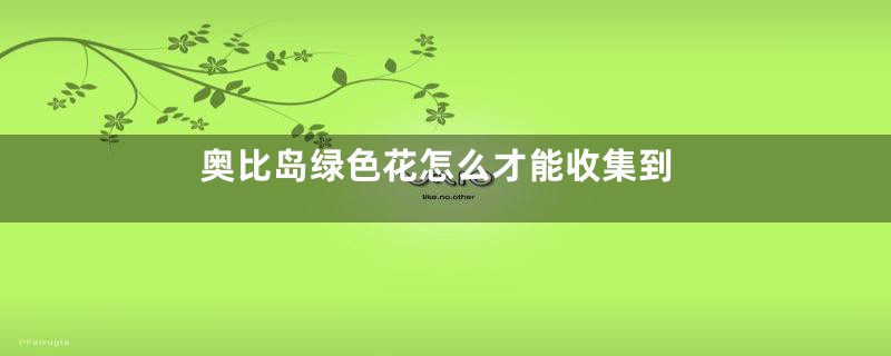 奥比岛绿色花怎么才能收集到