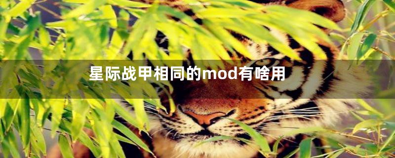 星际战甲相同的mod有啥用