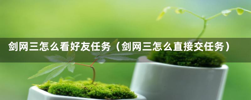 剑网三怎么看好友任务（剑网三怎么直接交任务）