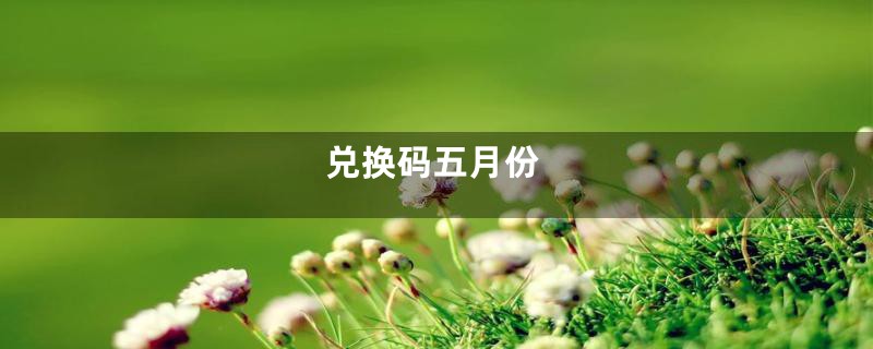 兑换码五月份