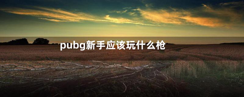 pubg新手应该玩什么枪