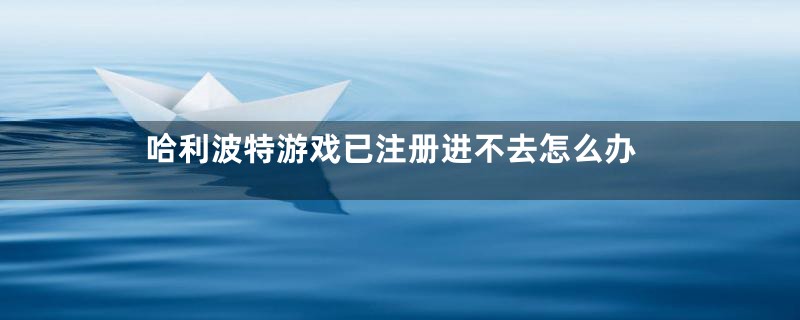 哈利波特游戏已注册进不去怎么办