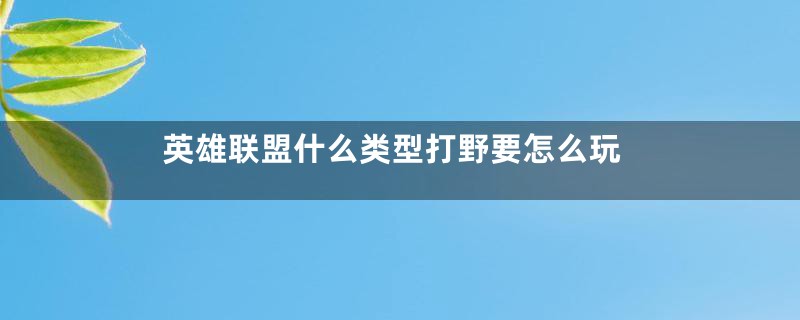 英雄联盟什么类型打野要怎么玩