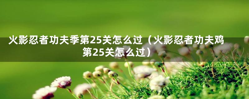 火影忍者功夫季第25关怎么过（火影忍者功夫鸡第25关怎么过）