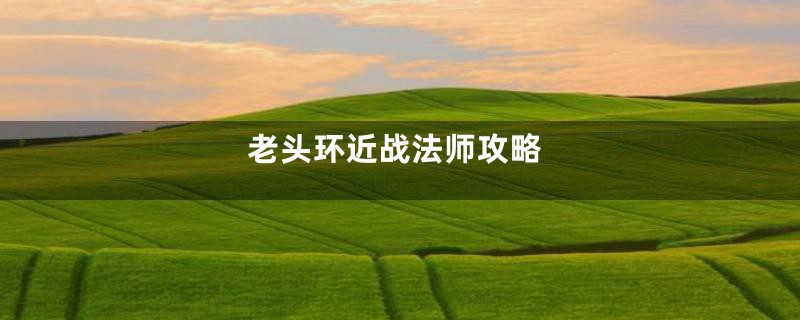 老头环近战法师攻略