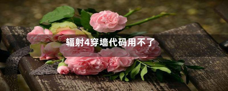 辐射4穿墙代码用不了