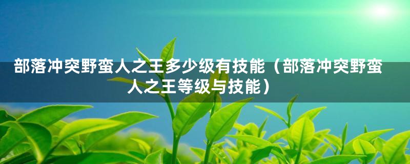 部落冲突野蛮人之王多少级有技能（部落冲突野蛮人之王等级与技能）