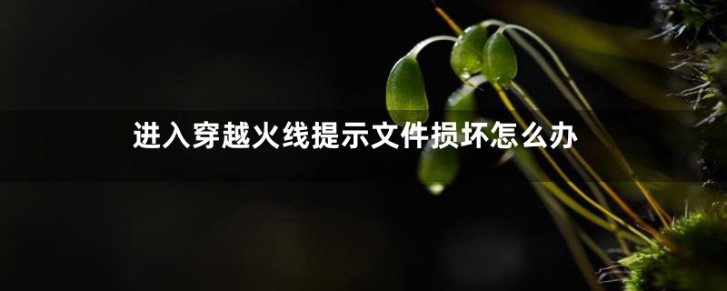 进入穿越火线提示文件损坏怎么办