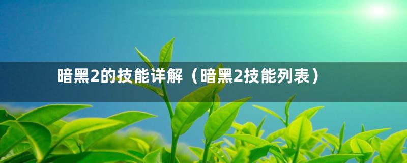 暗黑2的技能详解（暗黑2技能列表）