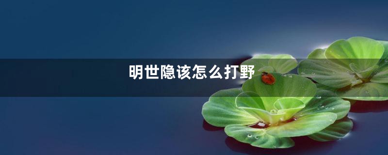 明世隐该怎么打野