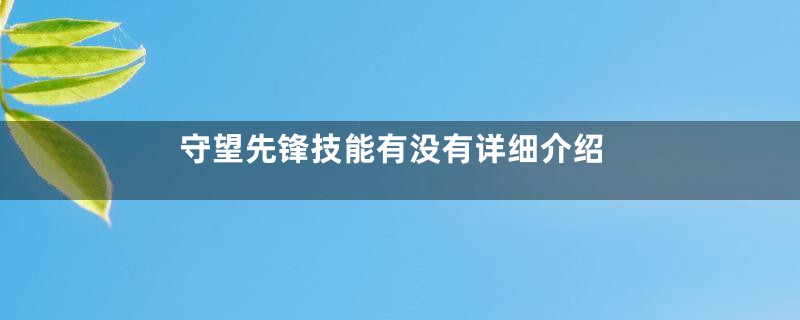 守望先锋技能有没有详细介绍