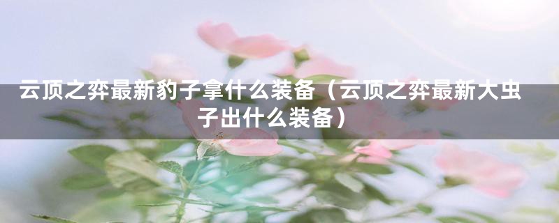 云顶之弈最新豹子拿什么装备（云顶之弈最新大虫子出什么装备）