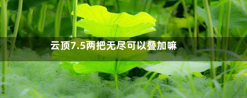 云顶7.5两把无尽可以叠加嘛