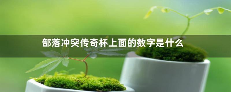 部落冲突传奇杯上面的数字是什么